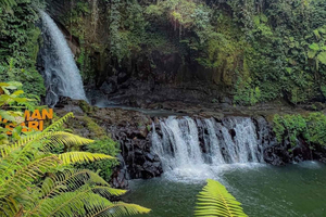 Hidden Waterfalls Tour with Transfer - All Inclusive