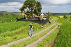 Jatiluwih Rice Terraces, Sangeh Forest & Coffee Tour