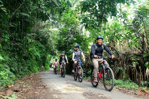 Kintamani Downhill Bike Tour & Firefly Watching