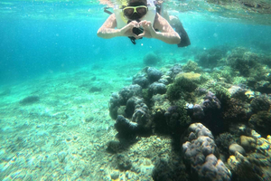 Komodo Island Day Trip with Flights and Snorkeling