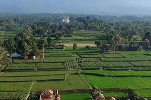 Lombok: Tetebatu Village and Rice Fields Guided Tour