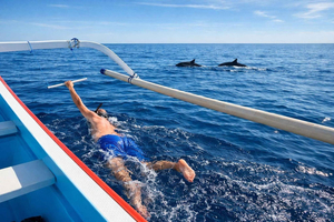 Lovina/Bali: Tour di avvistamento dei delfini, nuoto e snorkeling