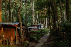 Munduk: Twin Lakes Jungle Trek, Canoe & Banyuwana Waterfall