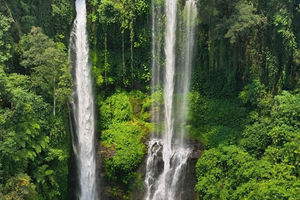 Bali Nord: Cascate e terrazza di riso di Sekumpul e Banyumala