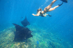 Nusa Penida: Private Boat 3-Spots Manta Snorkeling Tour