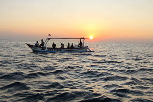 Pemuteran: Dolphin Watching Tour with Hotel Transfer
