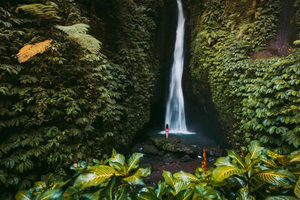 tour privado de bosque de monos de Sangeh, templo y cascada