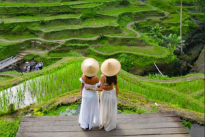 Private Ubud Day Tour: Rice Terraces, Waterfalls & Temples