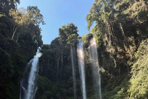 Sekumpul Waterfall Trek and Balinese Massage