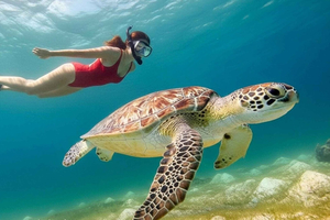 Snorkeling Blue Lagoon & Tanjung Jepun All-Inclusive
