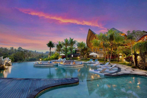 Tlaga singha Ubud infinity Pool+Monkey Forest + Water fall