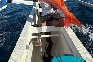 Tour de pesca y esnórquel en un jukung tradicional