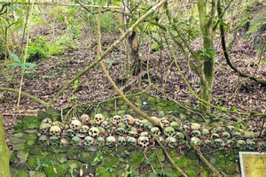 Trunyan Cemetery Tour (No Burial, No Smell)