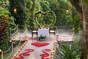 Ubud: cena romántica de 7 platos junto al río en la selva con vino