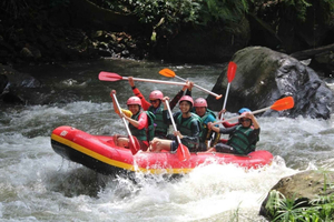 Ubud: Bali Bintang White Water Rafting Experience