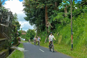 Ubud: E-Bikes Tour & Swing Bali