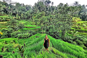 Ubud: Guided Rice Field, Waterfall, and Coffee Plantation …