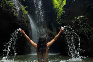 Ubud: Half-Day Rice Terrace, Coffee & Waterfall Tour