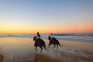 Ubud: Horse Riding, Zip-Line Tour & Waterfall Tour