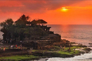 Ubud, Jatiluwih, & Tanah Lot 2-Day Guided Tour