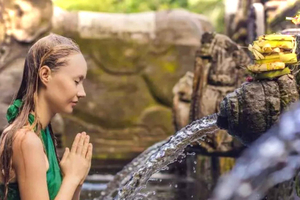 Ubud Monkey Forest, Rice Terraces, Temples & Waterfall