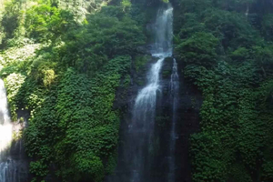 Ubud: paseo en barco para ver delfines en el norte de Bali, cascada y aguas termales