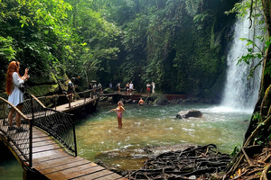 Ubud : Visite privée d'une demi-journée avec terrasse de riz et chute d'eau