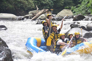 Rafting en Ubud con opción de traslados desde/hacia el hotel y almuerzo
