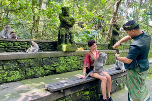 Ubud Tour with Optional English, Spanish and Italian Guide