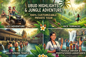 Ubud Vibes: tour privado de 1 día con una conductora local