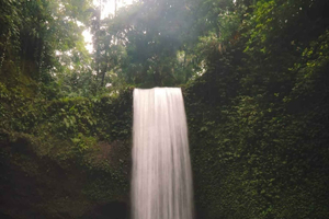 Ubud: tirolina, cascadas ocultas y tour de café