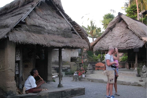 Village Tour with Cooking Class and Temple Visit