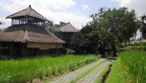 Top 5 Things to Do in Bali