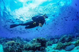 3-Days PADI Open Water Diving Course