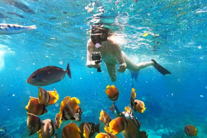 Thrill Seeker's Paradise: Adventurous Activities to Try in Bali's Current Season