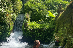 Bali: Griya Beji Water Ritual plus Monkey Forest and Swing