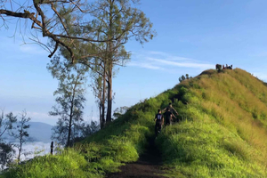 Bali Trunyan Hill Sunrise Hike with Lake Batur Views