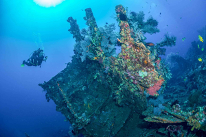 Tulamben Bay and the USAT Liberty Wreck Dive