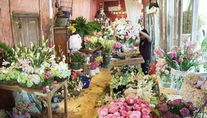 Bloomz Fine Flowers