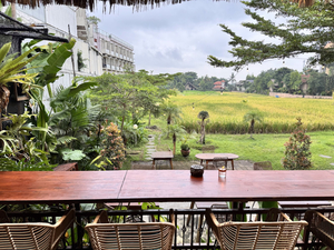 Citrus Berry Ubud
