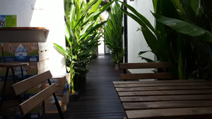 Escotel Jalak Guest House