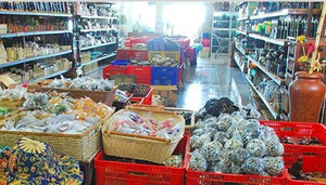 Geneva Handicraft Centre