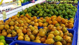Hardy's Supermarket