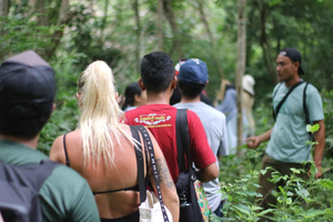 Jungle Trekking West Bali National Park