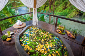 Puri Ahimsa Healing Centre