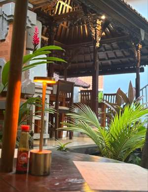 Radha Homestay