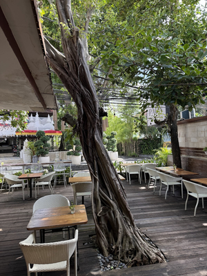 The Paon Sanur
