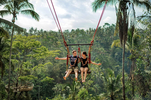 Swing with Falls, Rice Terrace, & Monkey Forest Option