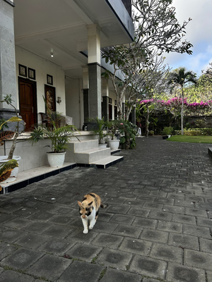 Uluwatu Made Guesthouse