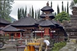 Hindu Festivals & Temple Ceremonies